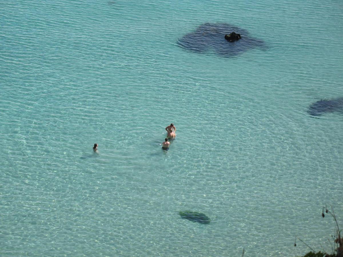 Le Portzic, Appartement Proche Plage De Morgat 卡松 外观 照片